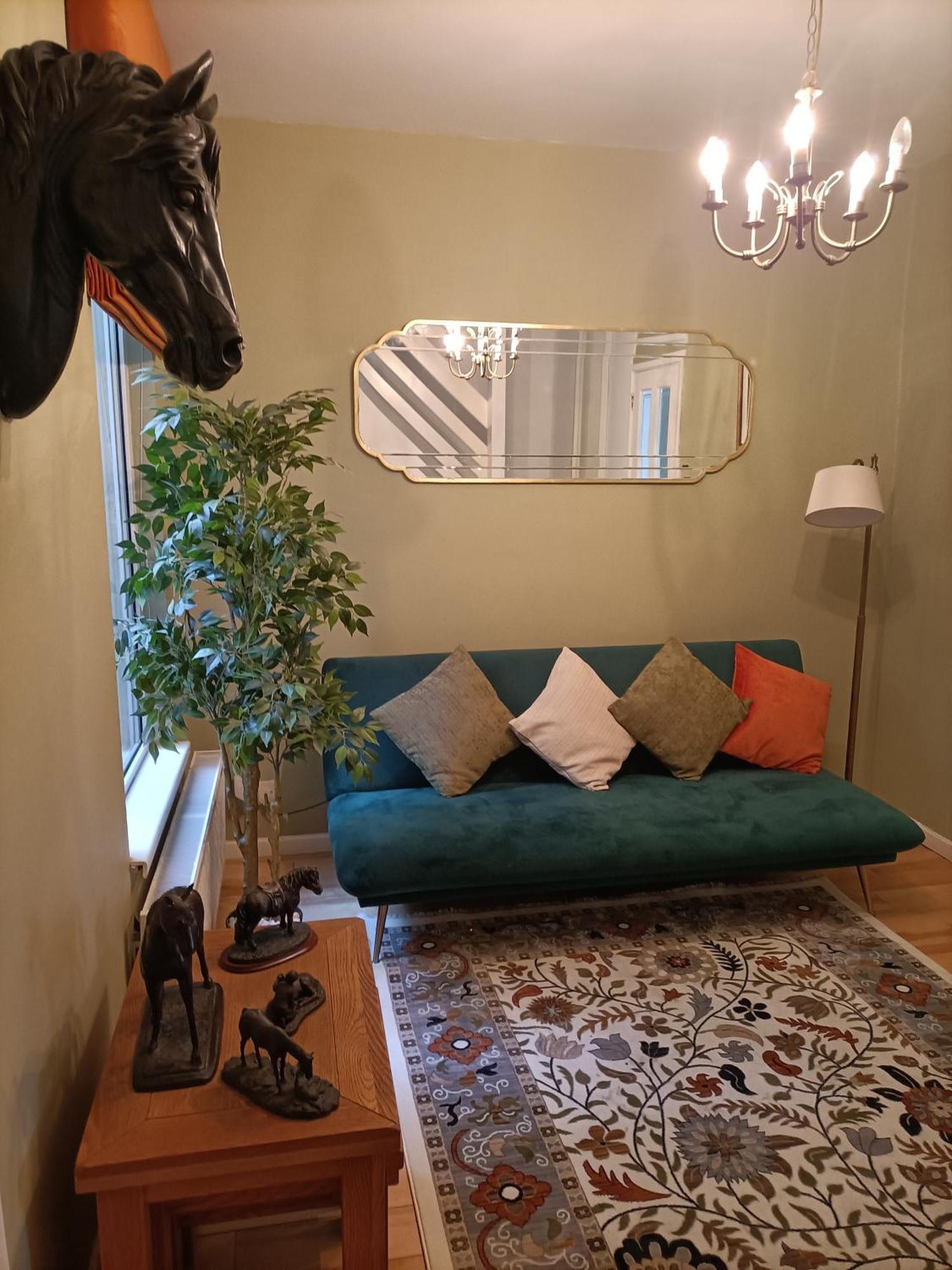 קאריקפרגוס Mill Cottage מראה חיצוני תמונה